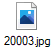 20003.jpg